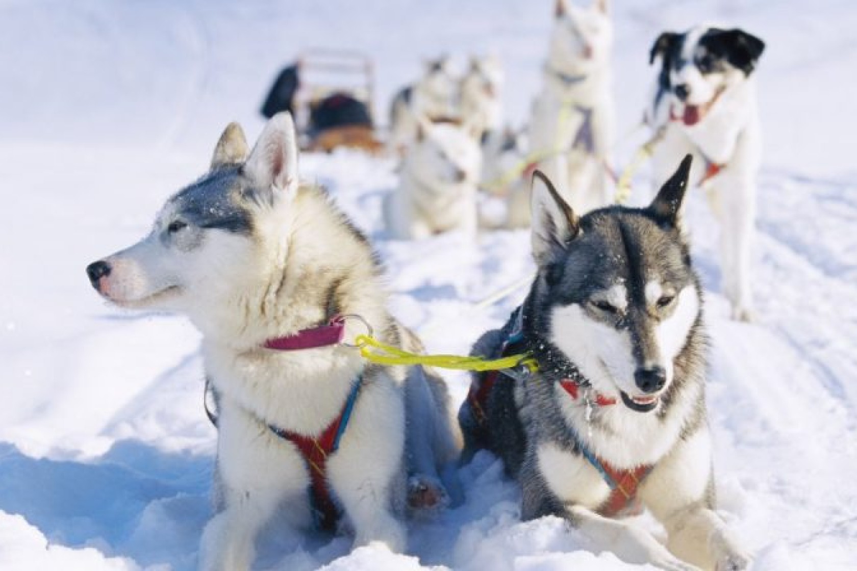 evidence based leiderschap.jpg