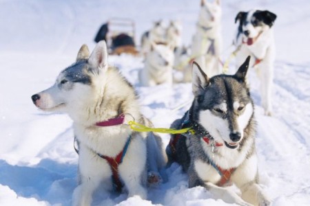 evidence based leiderschap.jpg