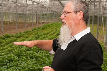 De Lochting - Luc Maertens.jpg