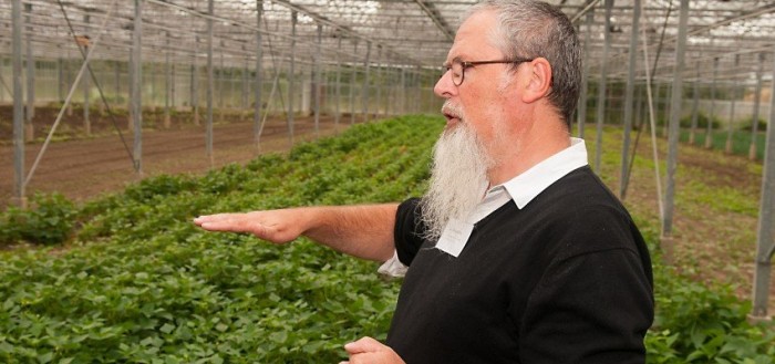 De Lochting - Luc Maertens