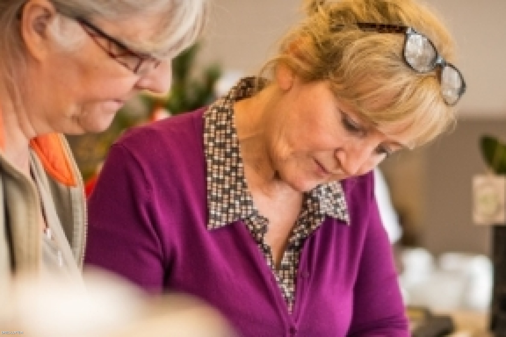 langer werken 384px Dries Luyten.jpg