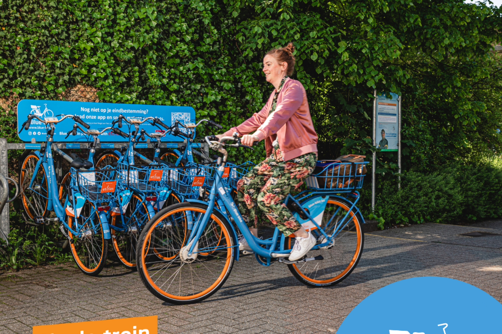 visual Blue-bike (002).png