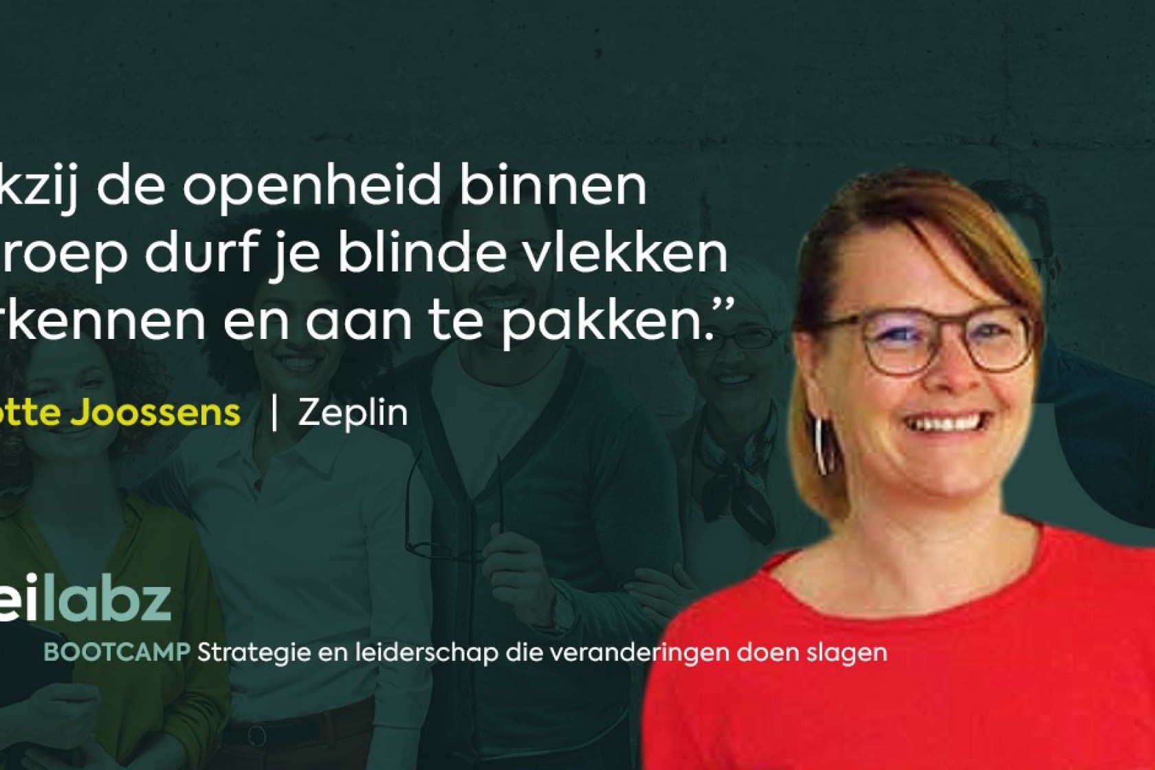 Zeplin visual.jpg