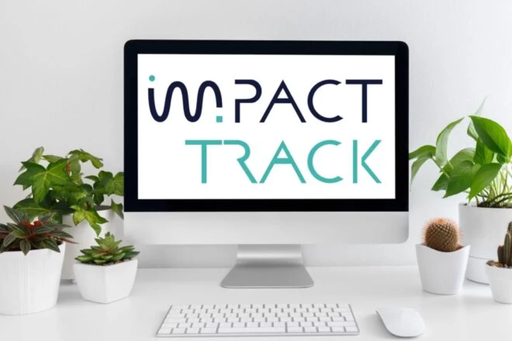 Impact-Track SIF.jpg