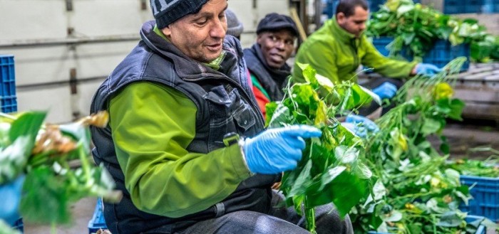 De Lochting - medewerkers