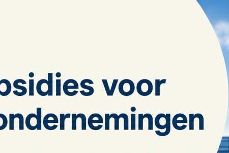 webinar europese subsidies