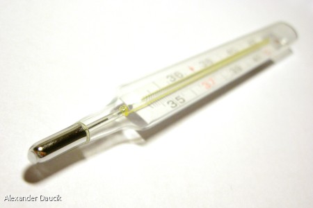 thermometer ziek 17 11 2014 freeimages.jpg
