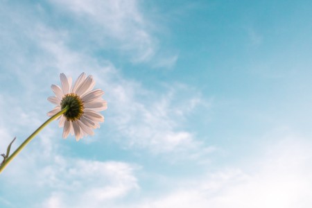 anders kijken - systemisch leiderschap.jpg