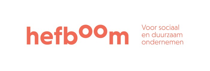 hefboom_logo_lig_RGB_pos
